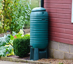 Conserving water in the garden